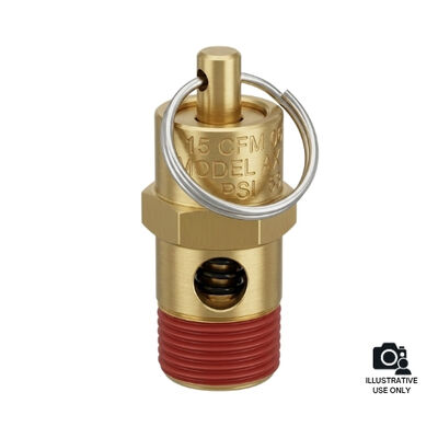 Graco 118576 Safety Valve 165 PSI