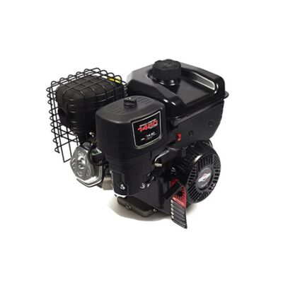 Briggs & Stratton 19N132-0055-F1 Horizontal Shaft Engine Model 19 Chore
