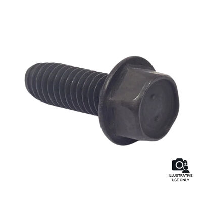 BRIGGS & STRATTON 843361 Engine Screw