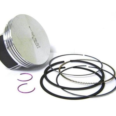 Briggs & Stratton 792307 Piston Assembly