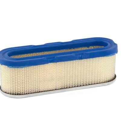 BRIGGS & STRATTON 399806S Engine Cartridge Air Cleaner Filter