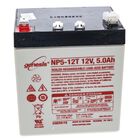 Craftsman 725P04903 Lawn Mower Battery 12V