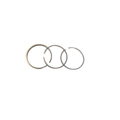 Briggs & Stratton 298176 Engine Ring Set 0.020"
