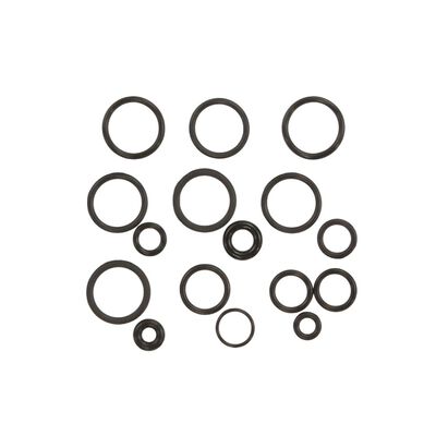 Briggs & Stratton 200346GS Pressure Washer O-Rings Kit