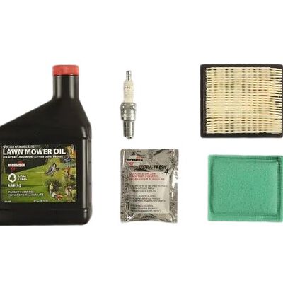 Tecumseh 730279 Summer Maintenance Kit
