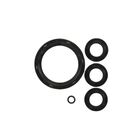 BRIGGS & STRATTON 194425GS Pressure Washer Seal Oil Kit