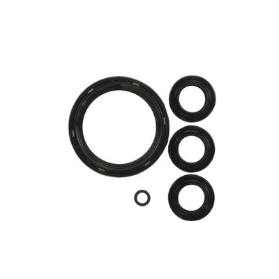 BRIGGS & STRATTON 194425GS Pressure Washer Seal Oil Kit