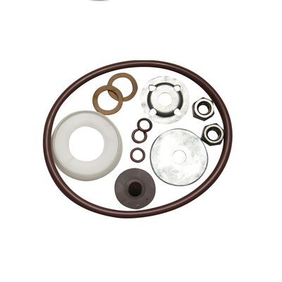 Chapin 6-1945 Sprayer Seal & Gasket Kit