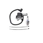 Lawn Boy 99-2916 Lawn Mower CD Ignition Package