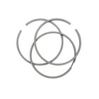BRIGGS & STRATTON 394959 Engine Standard Piston Ring Set