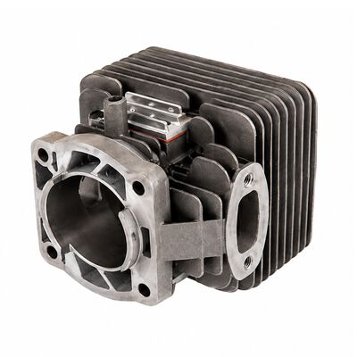 Shindaiwa P021029350 Leaf Blower / Vacuum Cylinder Assembly