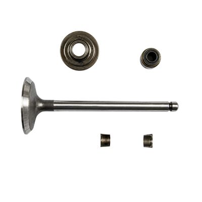 Briggs & Stratton 84013569 Valve Intake