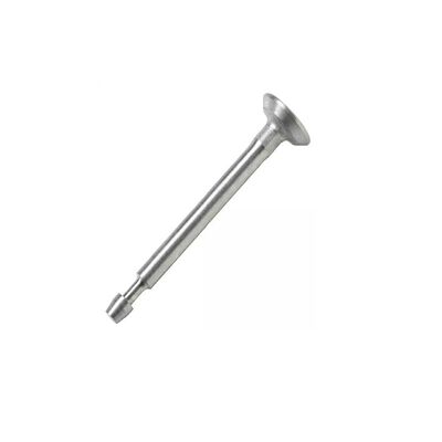 BRIGGS & STRATTON 691796 Engine Exhaust Valve