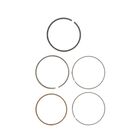 Briggs & Stratton 843953 Engine Ring Set
