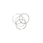 Kohler 1210807-S Engine Ring Set Standard & 0.08