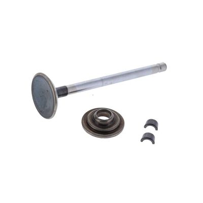 BRIGGS & STRATTON 697576 Engine Exhaust Valve