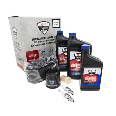 Exmark 146-3773 Lawnmower V-Twin Engine Maintenance Kit