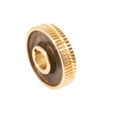 Mtd 917-04380 Tiller Worm Gear 61T