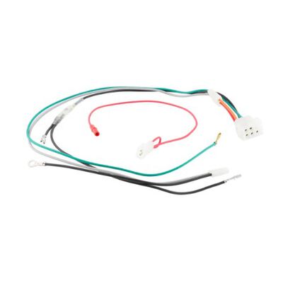 BRIGGS & STRATTON 698330 Engine Wiring Harness