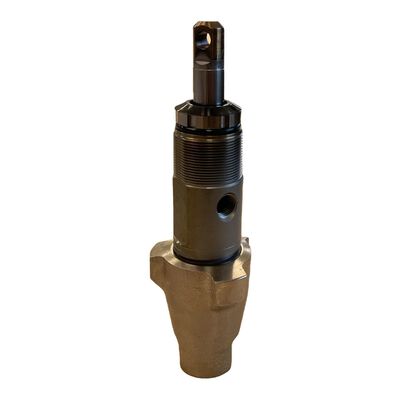Graco 244195 Displacment Pump