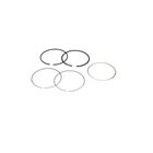 BRIGGS & STRATTON 590402 Engine Ring Set
