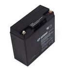 Briggs & Stratton 193043GS Battery