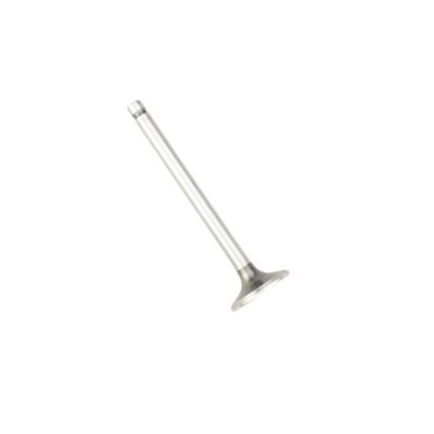 Tecumseh 36934 Exhaust Valve