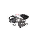 Briggs & Stratton 847319 Engine Gasket Set