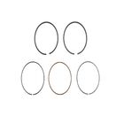 BRIGGS & STRATTON 791787 Engine Ring Set