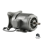 Wilton 5625771 Drill Press Motor