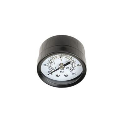 Husky E107333 0.125" Air Compressor Gauge Back Mount