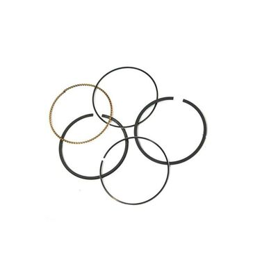 Briggs & Stratton 791324 Engine Ring Set .020