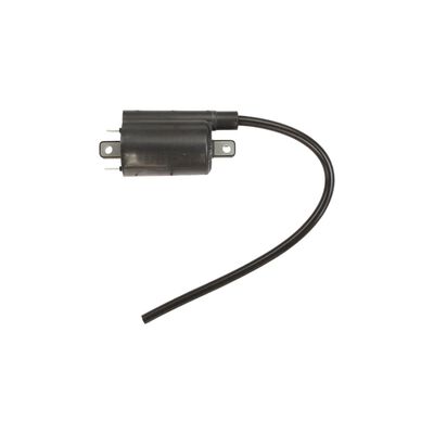 Briggs & Stratton 820037 Engine Ignition Coil