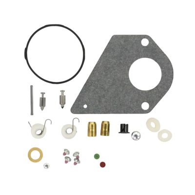 Briggs & Stratton 497535 Lawn Tractor Kit Carb Overhaul