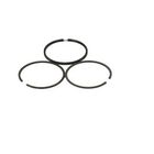 Briggs & Stratton 499998 Engine Ring Set 020