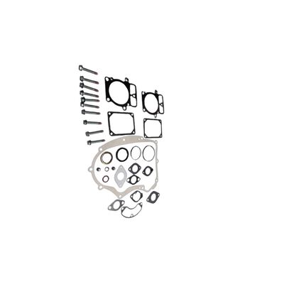 Briggs & Stratton 699823 Engine Gasket Set