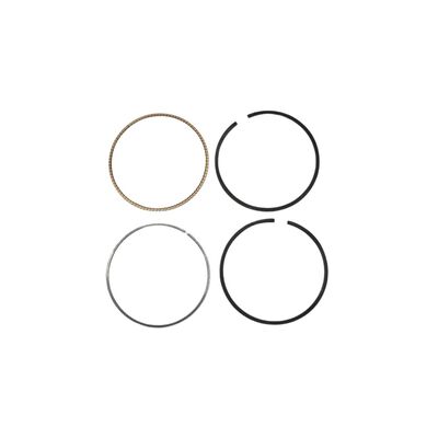 Briggs & Stratton 792073 Engine Ring Set .020