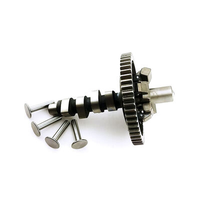 BRIGGS & STRATTON 690927 Engine Camshaft