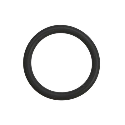 Titan 704-109 Paint Sprayer P-Ring