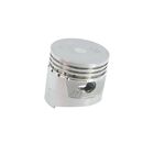 Briggs & Stratton 715793 Piston Assembly Standard