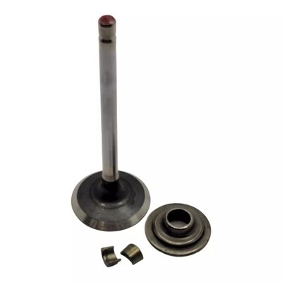 BRIGGS & STRATTON 793557 Engine Exhaust Valve