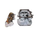 Kohler 1675521-S Engine Cylinder Head Kit
