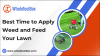 Best Time to Apply Weed and Feed Your Lawn