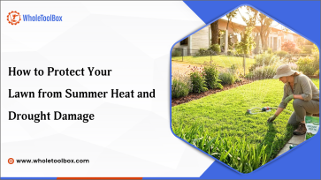 Protect Your Lawn from Summer Heat and Drought Damage