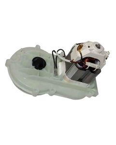Homelite 099749005026 Lawn Mower Motor