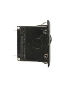 BRIGGS & STRATTON 191480AGS Generator 2-Pole Circuit Breaker 30A