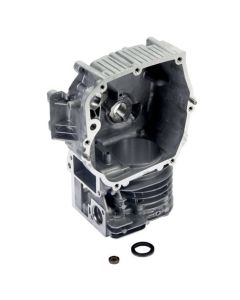 Briggs & Stratton 592645 Cylinder Assembly