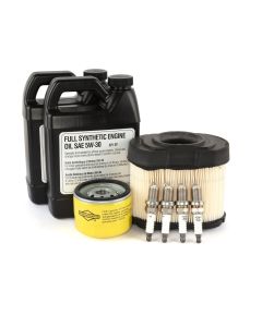 BRIGGS & STRATTON 6179 Generator Accelerator Maintenance Kit 10-1300