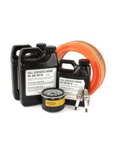 BRIGGS & STRATTON 6872 Generator Accelerator Maintenance Kit 17-26000