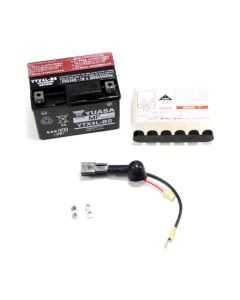 Simplicity 7067012YP Lawn Mower Battery Kit